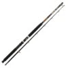 WSB Bow Wave Boat Rod 2 Piece
